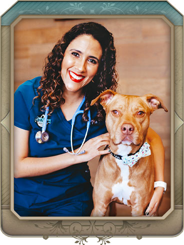 maple grove veterinarian